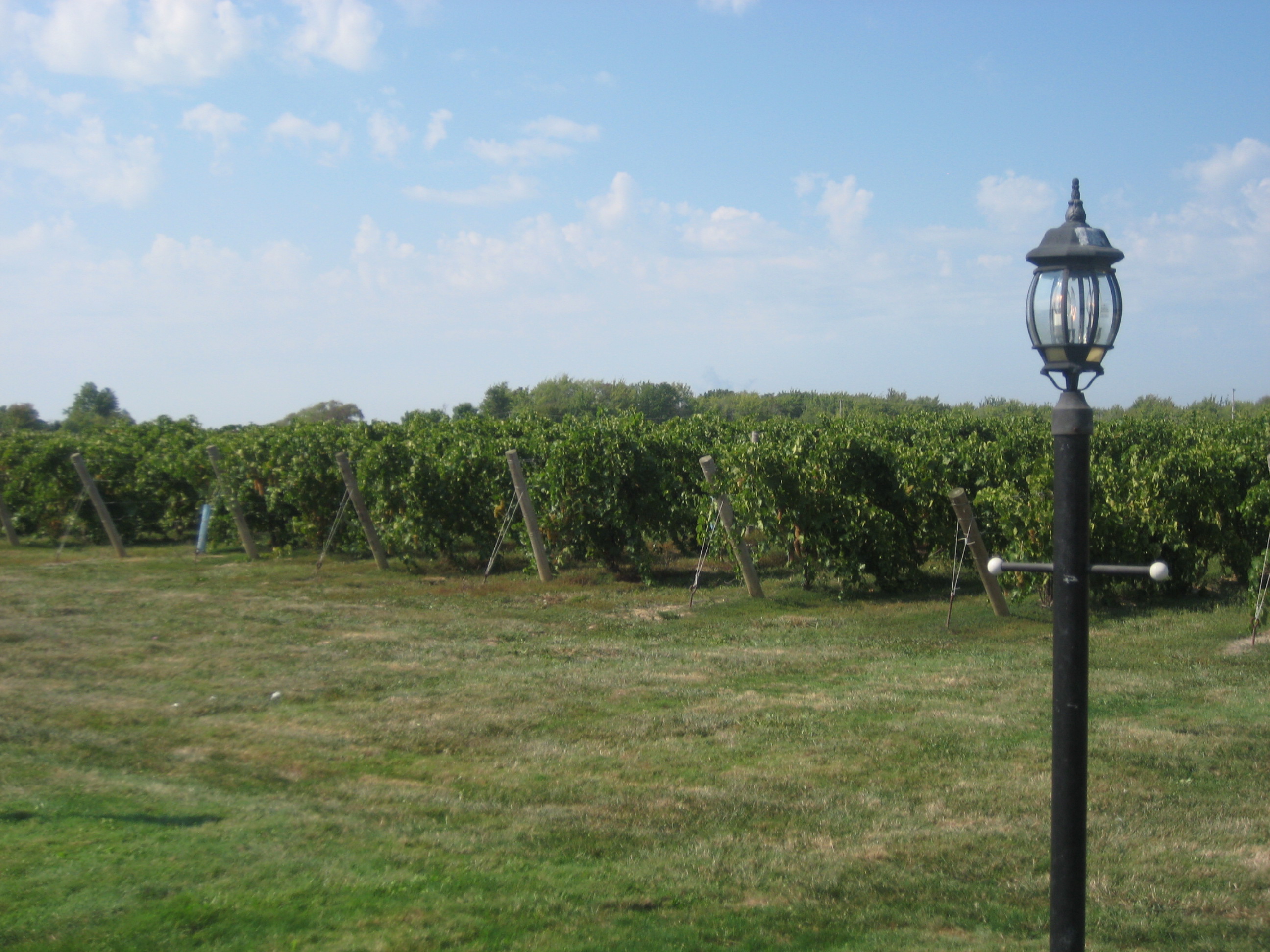 Ohio Winery Grand River Valley Wine Region Grand River Cellars